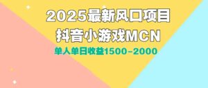 DY小游戏MCN广告2025最新打法单人单日收益1500-2000背靠大平台新手小白…-川川创富网