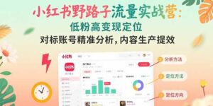 小红书野路子流量实战营：低粉高变现定位 对标账号精准分析 内容生产提效-川川创富网
