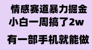 情感暴力掘金项目，新人操作一周挣了2W，长期稳定小白可做【揭秘】-川川创富网
