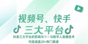 视频号、快手、抖音三大平台的剪辑与数字人直播技术,内容涵盖20+热门赛道-川川创富网