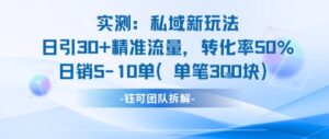 实测私域新玩法日引30加精准流量转化率50%日销5-10单每笔3张-川川创富网