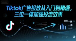 Tiktok广告投放从入门到精通,三位一体加强投流效果-川川创富网