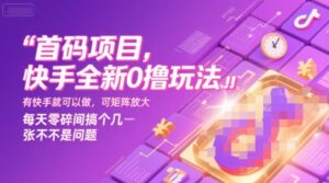首码项目，快手全新0撸玩法，有快手就可以做，可矩阵放大，每天零碎时间搞个几张不是问题【揭秘】-川川创富网