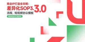 商业IP打造全攻略：差异化SOP3.0流程，短视频协议模板，婚恋项目实战案例-川川创富网
