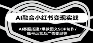 AI融合小红书变现实战课,AI客服搭建/爆款图文SOP制作/账号运营及广告变现等-川川创富网