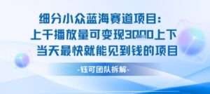 小众蓝海赛道项目:当天变现1k+适合新手操作 +适合长期玩-川川创富网
