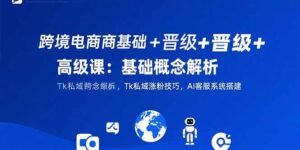 跨境电商基础+晋级+高级课:基础概念解析,Tk私域涨粉技巧,AI客服系统搭建-川川创富网