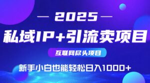 2025网创尽头项目，私域IP+引流，新手小白也能在家日入1000+-川川创富网