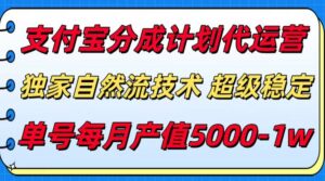 支付宝分成计划代运营,独家自然流技术,收益稳定,单号月产5000+-川川创富网