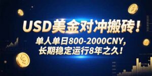 USD美金对冲搬砖!单人单日800-2000CNY，长期稳定运行8年之久!-川川创富网