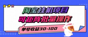 揭秘2025最新淘宝挂机项目，单号30-100，可矩阵批量操作(附工具)-川川创富网