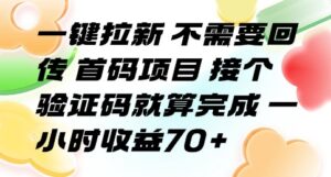 一键拉新 不需要回传 首码项目 接个验证码就算完成 一小时收益70+【揭秘】-川川创富网