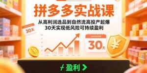 拼多多实战课:从高利润选品到自然流高投产起爆 30天实现低风险可持续盈利-川川创富网
