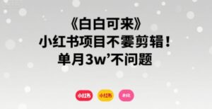 小白可来 小红书项目不需要剪辑 单月3w不是问题-川川创富网