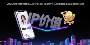 2025年短视频领域人设IP打造:实现从个人出镜到商业成交的闭环转化-川川创富网