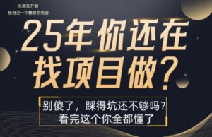 25年,你还在疯狂的找项目吗?别傻了,看完这个你都懂了【揭秘】-川川创富网