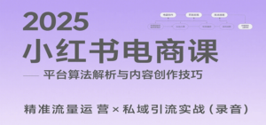 2025小红书电商课：解析算法，创作高转化内容，助力卖家获取流量实现变现(录音)-川川创富网