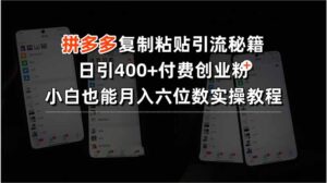 拼多多复制粘贴引流秘籍，日引400+付费创业粉，小白也能月入六位数实操…-川川创富网