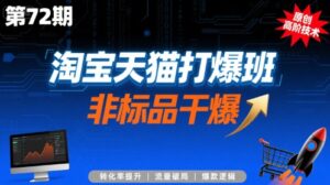 淘宝天猫打爆班原创高阶技术第72期,非标品干爆-川川创富网