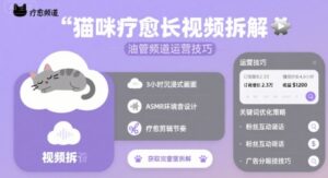 猫咪疗愈长视频拆解 &油管频道运营技巧-川川创富网