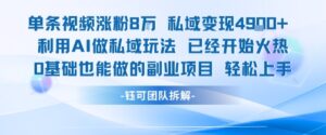 单条视频私域变现4.9k+利用AI做私域玩法 已经开始火热0基础也能做的副业项目轻松上手-川川创富网