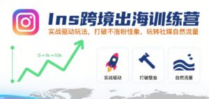Ins跨境出海训练营，实战驱动玩法，打破不涨粉怪象，玩转社媒自然流量-川川创富网