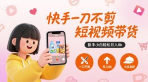 快手一刀不剪短视频带货,新手小白轻松月入8k-川川创富网