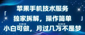 苹果手机技术服务,独家拆解,操作简单,小白可做,月过1W不是梦-川川创富网