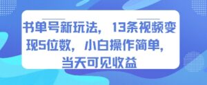 书单号新玩法，13条视频变现5位数，小白操作简单，当天可见收益-川川创富网
