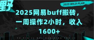 2025网易buff搬砖,一周操作2小时,收入1600+-川川创富网