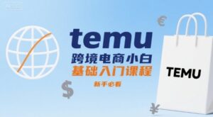 temu跨境电商小白基础入门课程,新手必看-川川创富网
