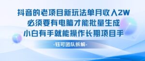 老项目新玩法单月收入2W小白有手就能操作长期项目-川川创富网