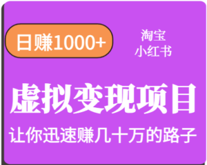 淘宝OR小红书虚拟变现,日赚1000+,多账号操作年收入几十W不等-川川创富网