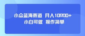 小众蓝海赛道,小白可做,操作简单,每天30分钟,月入1W+-川川创富网