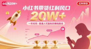 一年时间靠小红书带货项目年入20w+,最不能错的大红利项目-川川创富网