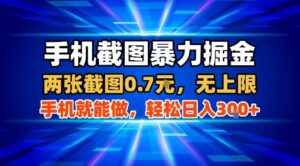 手机截图暴力掘金，两张截图0.7米，一部手机就能做，轻松日入3张+【揭秘】-川川创富网