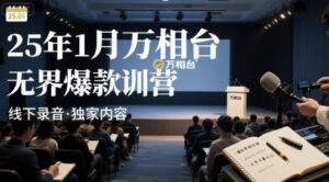 25年1月万相台无界爆款特训营线下录音-川川创富网