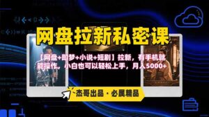 网盘拉新躺赚玩法,【网盘+即梦+小说+短剧】拉新,有手机就能操作…-川川创富网