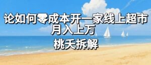 论如何零成本开一家线上超市,月入上W-川川创富网