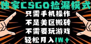 CSGO自动捡漏项目,最新独家玩法,不是美区搬砖,不需要了解和玩游戏,新手小白轻松月入1W+【揭秘】-川川创富网