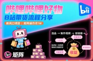 哔哩哔哩好物,B站带货流程分享,新风口项目,矩阵操作月1W-川川创富网