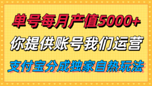 单月产值5000+,支付宝分成代运营,你提供账号坐等分钱,我们帮你运营-川川创富网