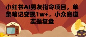 小红书AI男友指令项目，单条笔记变现1w+，小众赛道实操复盘-川川创富网