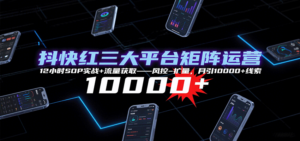 抖快红三大平台矩阵运营，12小时SOP实战+流量获取-风控-扩量，月引10000+线索-川川创富网