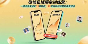 微信私域爆单训练营：一场公开课成交33单案例，99元自动训练营批量变现术-川川创富网