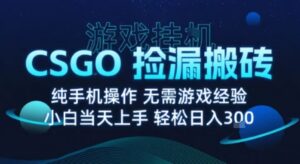8月最新游戏搬砖,CSGO纯挂G,不需要玩游戏,实现真挂G,月入1W+【揭秘】-川川创富网