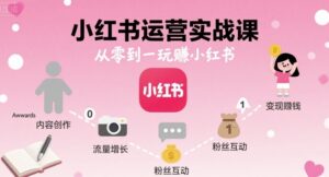 小红书运营实战课,从零到一玩賺小红书-川川创富网