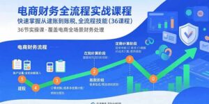 电商财务全流程实战课程:快速掌握从建账到报税的全流程技能(36节课-川川创富网