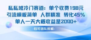 私域冷门赛道单个收费198米引流模板简单人群精准 45%的转化率单人一天大概收益多张-川川创富网