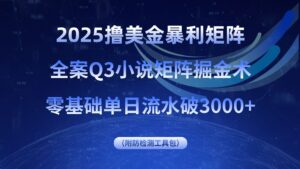 2025撸美金暴利矩阵,全案小说矩阵掘金术,零基础单日流水破3000+-川川创富网